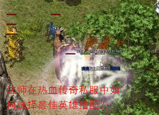 ��ʦ����Ѫ����˽�������ѡ�����Ӣ�۴��䣿