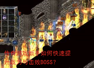 ������Ϸ������ο�������ս�������BOSS��