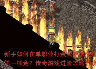 ��������ڵ�ְҵ���������׬ȡ��һͰ�𣿴�����Ϸ���׹��Դ���