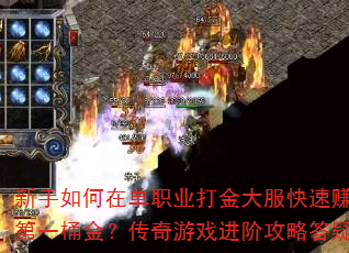 ��������ڵ�ְҵ���������׬ȡ��һͰ�𣿴�����Ϸ���׹��Դ���