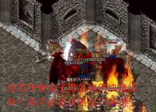 ��̬�������������ο������������ֱر����Լ��ɽ���