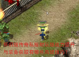 ���ɰ洫��˽�������ս��������װ����ȡ����Щ��Ч���ɣ�