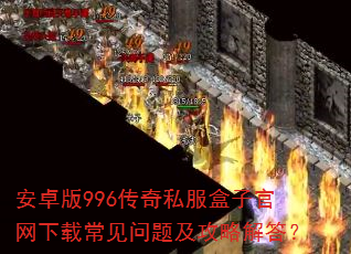 ��׿��996����˽�����ӹ������س������⼰���Խ��