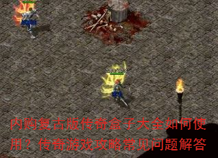 �ڹ����Ű洫����Ӵ�ȫ���ʹ�ã�������Ϸ���Գ���������