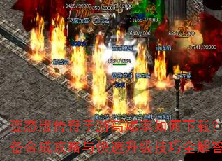 ��̬�洫�����θ߱���������أ�װ���ϳɹ����������������ȫ���