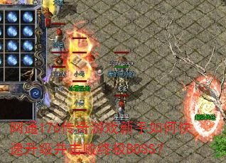 ��ͨ176������Ϸ������ο��������������ռ�BOSS��
