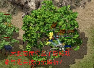ʮ���̬����������ع�����ͨ�ؼ���ȫ������