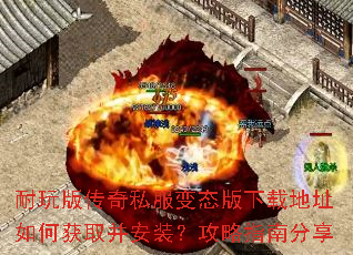 ����洫��˽����̬�����ص�ַ��λ�ȡ����װ������ָ�Ϸ���