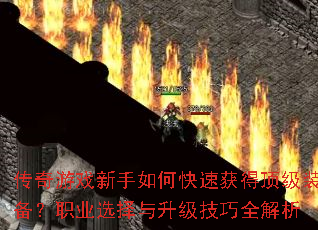 ������Ϸ������ο��ٻ�ö���װ����ְҵѡ������������ȫ����