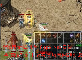 996����˽������app���ذ�װȫ���ԣ����ֱؿ��������������