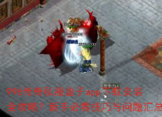 996����˽������app���ذ�װȫ���ԣ����ֱؿ��������������