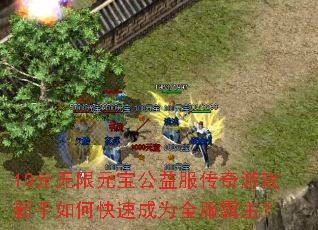 10Ԫ����Ԫ�������������Ϸ������ο��ٳ�Ϊȫ��������