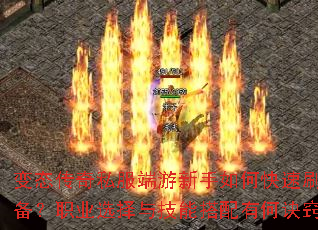 ��̬����˽������������ο���ˢװ����ְҵѡ���뼼�ܴ����кξ��ϣ�