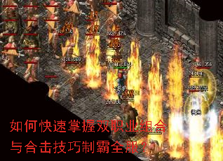 ��ο�������˫ְҵ�����ϻ������ư�ȫ����