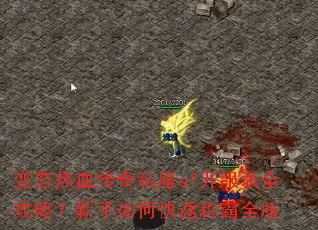 ��̬��Ѫ����˽��sf������ȫ���ԣ�������ο��ٳư�ȫ��