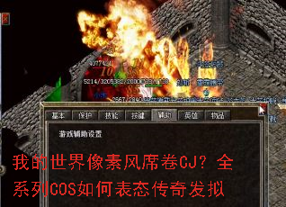 �ҵ��������ط�ϯ��CJ��ȫϵ��COS��α�̬���淢��