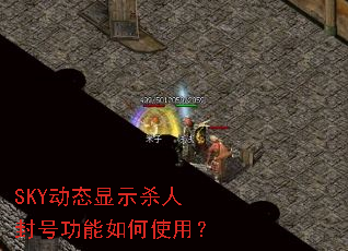 SKY��̬��ʾɱ�˷�Ź������ʹ�ã�