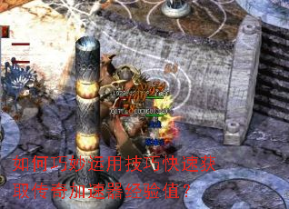 ����������ü��ɿ��ٻ�ȡ�������������ֵ��