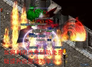 ������ô��渨����Ѱ��������ܳɹ��ʣ�