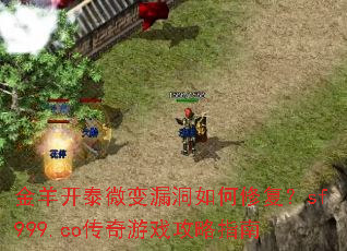 ����̩΢��©������޸���sf999.co������Ϸ����ָ��
