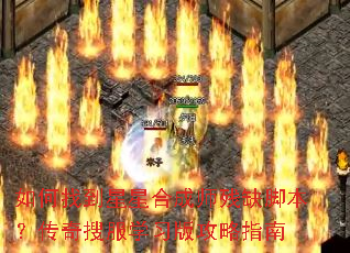 ����ҵ����Ǻϳ�ʦ��ȱ�ű��������ѷ�ѧϰ�湥��ָ��