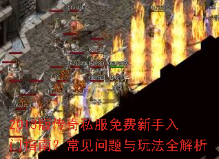 2013�洫��˽�������������ָ�ϣ������������淨ȫ����