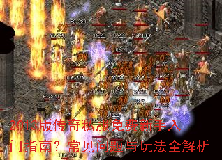 2013�洫��˽�������������ָ�ϣ������������淨ȫ����