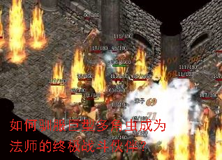 ���ѱ�����Ͷ�ǳ��Ϊ��ʦ���ռ�ս����飿