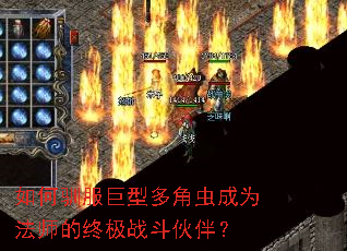���ѱ�����Ͷ�ǳ��Ϊ��ʦ���ռ�ս����飿