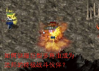 ���ѱ�����Ͷ�ǳ��Ϊ��ʦ���ռ�ս����飿