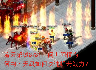 ���Ƶڳ�8781����������Ϊ����켶��ο�������ս����