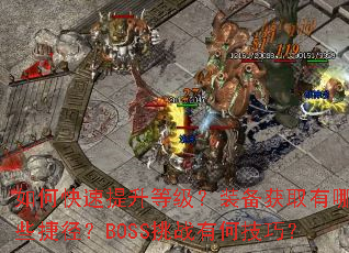 ��ο��������ȼ���װ����ȡ����Щ�ݾ���BOSS��ս�кμ��ɣ�