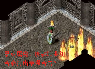 ��ˬ��ħ���Ŀ�ְҵ����ܴ����ǿ�ϻ���