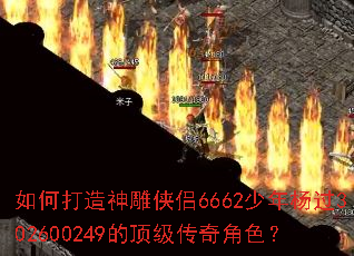 ��δ����������6662�������302600249�Ķ��������ɫ��