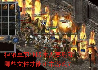 ���ӵ�ְҵ�汾��Ҫɾ����Щ�ļ�����������Ϸ��
