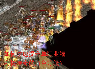 ��ο���������ְҵ����������Ľ�ɫ�ȼ���