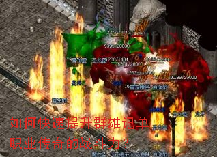 ��ο�������Ⱥ�ۼǵ�ְҵ�����ս������