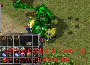 ��ο��ٳưԳ��临�Ŵ��棿���VIP��С�׽��׹��Խ���