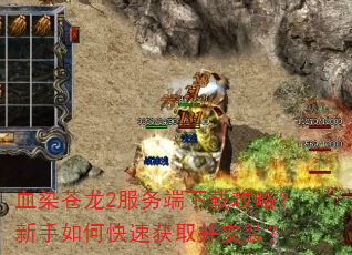 ѪȾ����2��������ع��ԣ�������ο��ٻ�ȡ����װ��