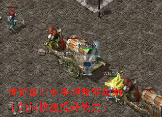 ���浥ְҵ���γ����������ο�������ս����