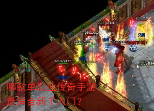 �Ŀְҵ�����������ʺ��������ţ�
