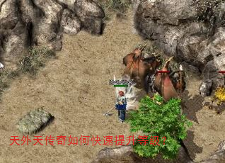 �����촫����ο��������ȼ���