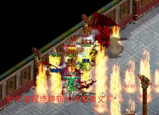������վ���ն���ռ����壿
