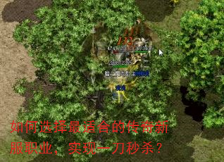 如何选择最适合的传奇新服职业,实现一刀秒杀? 如何选择最适合的传奇新服职业,实现一刀秒杀?