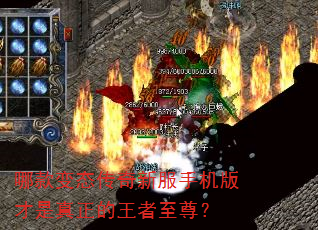 哪款变态传奇新服手机版才是真正的王者至尊? 哪款变态传奇新服手机版才是真正的王者至尊?