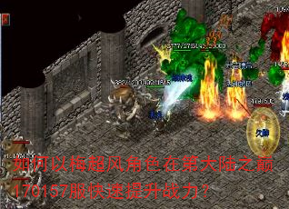 如何以梅超风角色在第大陆之巅170157服快速提升战力? 如何以梅超风角色在第大陆之巅170157服快速提升战力?
