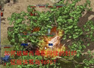 如何破解西毒欧阳锋的封印,征服侠客岛9696? 如何破解西毒欧阳锋的封印,征服侠客岛9696?