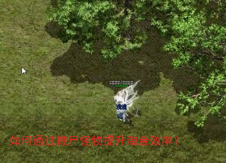 如何通过鞭尸怪物提升淘金效率? 如何通过鞭尸怪物提升淘金效率?