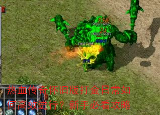 热血传奇怀旧版打金日常如何高效进行?新手必看攻略 热血传奇怀旧版打金日常如何高效进行?新手必看攻略