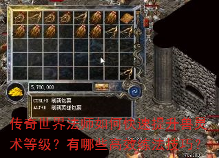 传奇世界法师如何快速提升兽灵术等级?有哪些高效练法技巧? 传奇世界法师如何快速提升兽灵术等级?有哪些高效练法技巧?